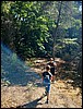 madagascar06.jpg